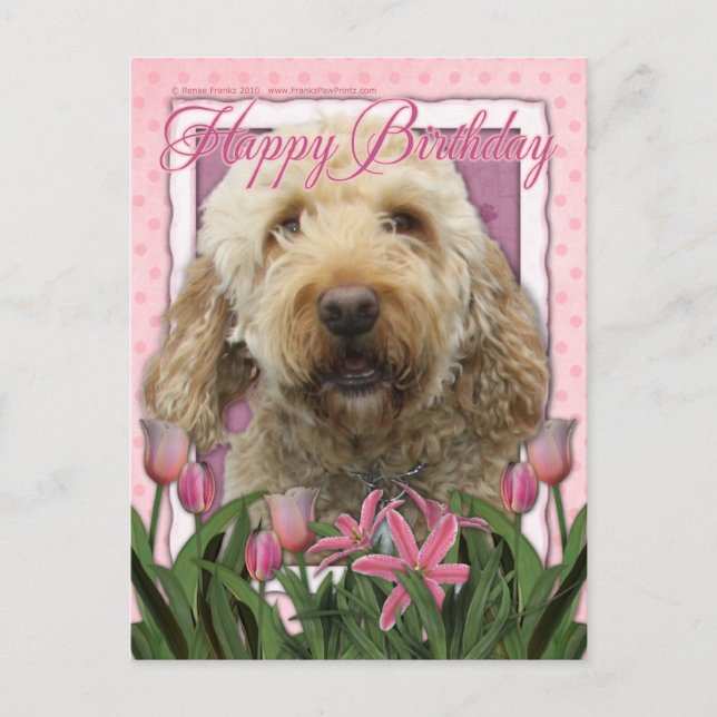 Alles Gute zum Geburtstag - Goldendoodle Postkarte (Vorderseite)
