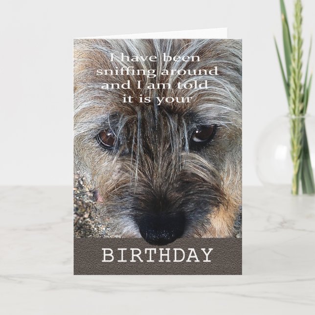 Alles Gute zum Geburtstag, Grenzterrier, der herum Karte (Vorderseite)