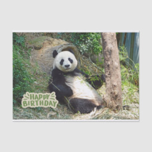 Alles Gute zum Geburtstag Großer Panda Bär Seidenpapier