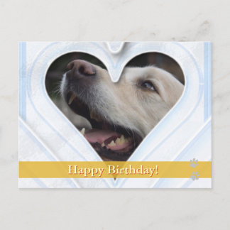 Alles Gute zum Geburtstag! - Hunde Postkarte