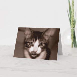 Alles Gute zum Geburtstag! Karte