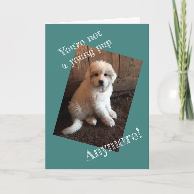 Alles Gute zum Geburtstag Karte (Vorderseite)