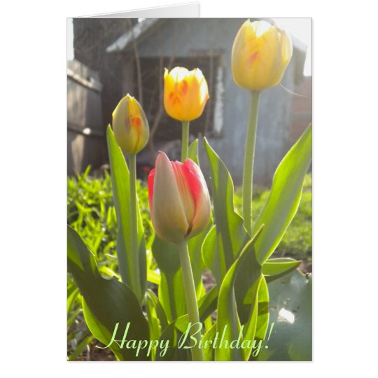 Alles Gute zum Geburtstag! Karte