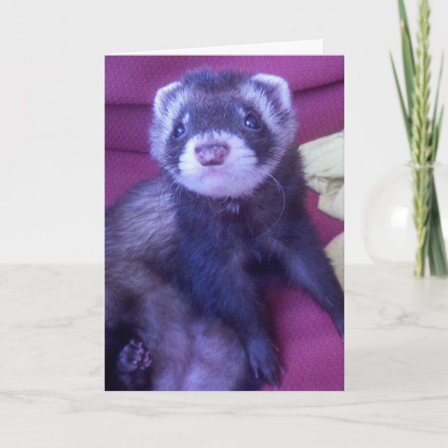 Alles Gute zum Geburtstag! Karte (Vorderseite)