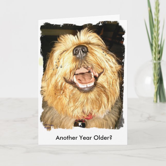 Alles Gute zum Geburtstag Karte (Vorderseite)