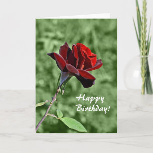 Alles Gute zum Geburtstag Karte