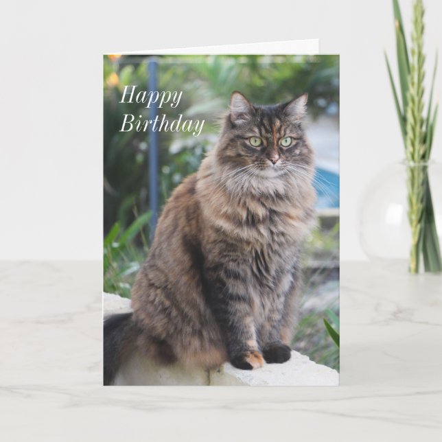 Alles Gute zum Geburtstag. Karte mit schönem Katze (Vorderseite)