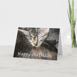 Alles Gute zum Geburtstag, Kitten und Katze Karte