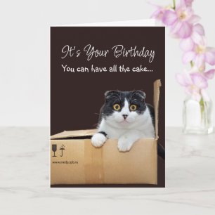 Alles Gute zum Geburtstag Lustige Katze  Karte