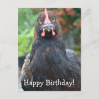 Alles Gute zum Geburtstag... Partridge Cochin Post