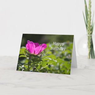 Alles Gute zum Geburtstag Pink Paper Rose Karte