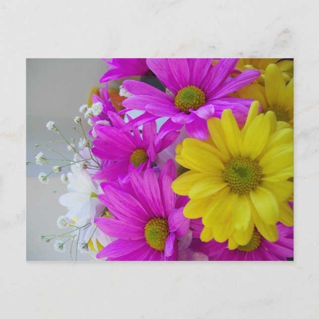 Alles Gute zum Geburtstag!!! Postkarte (Vorderseite)