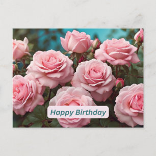 Alles Gute zum Geburtstag rosa Rosen in Blüte Postkarte