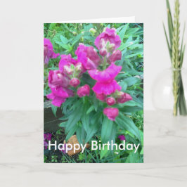 Alles Gute zum Geburtstag. Snapdragon Blume. Karte