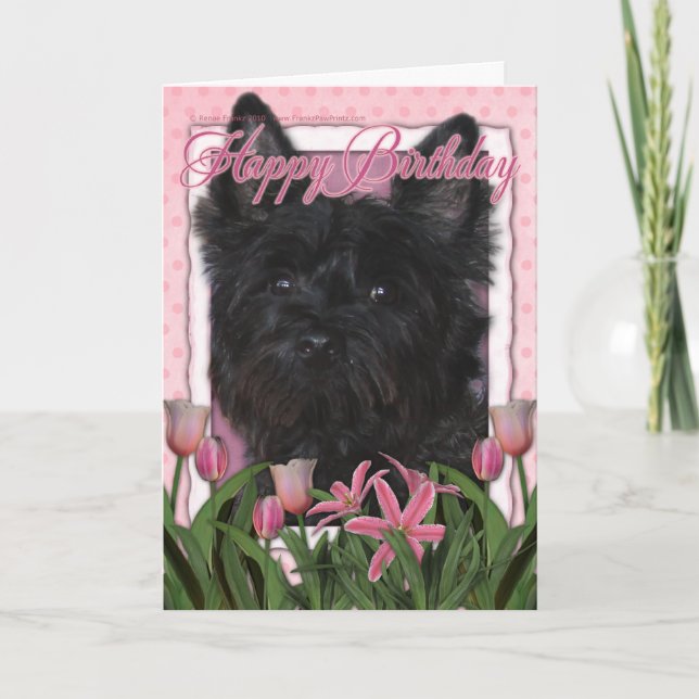 Alles Gute zum Geburtstag - Steinhaufen Terrier - Karte (Vorderseite)