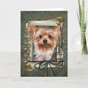 Alles Gute zum Geburtstag - Stone Paws - Yorkshire Karte