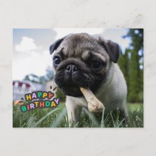 Alles Gute zum Geburtstag Süßer Welpe mit dem Knoc Postkarte