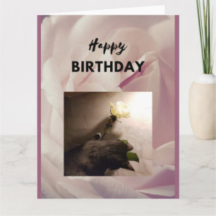 Alles Gute zum Geburtstag. Tuxedo Katze mit Rose.  Karte