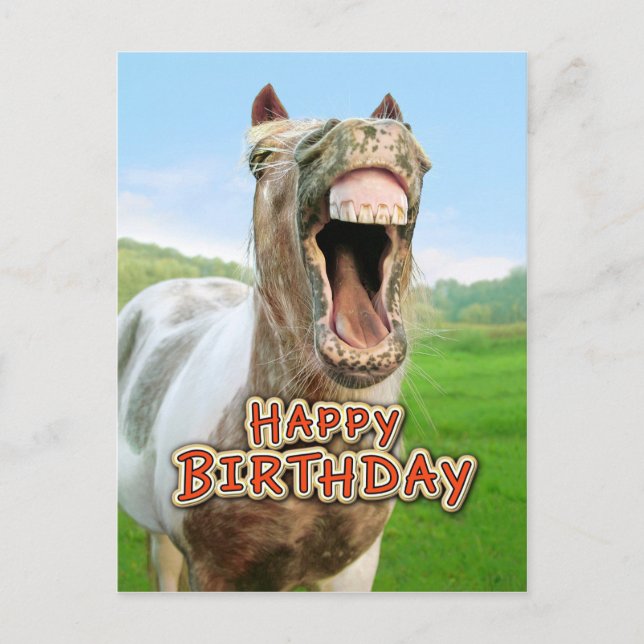 Alles Gute zum Geburtstag vom glücklichen Pferd Postkarte (Vorderseite)