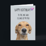 Alles Gute zum Geburtstag vom Hund Funny Spaß Karte<br><div class="desc">This design was created though digital art. It may be personalized in the area provide or customizing by choosing the click to customize further option and changing the name, initials or words. You may also change the text color and style or delete the text for an image only design. Kontakt...</div>