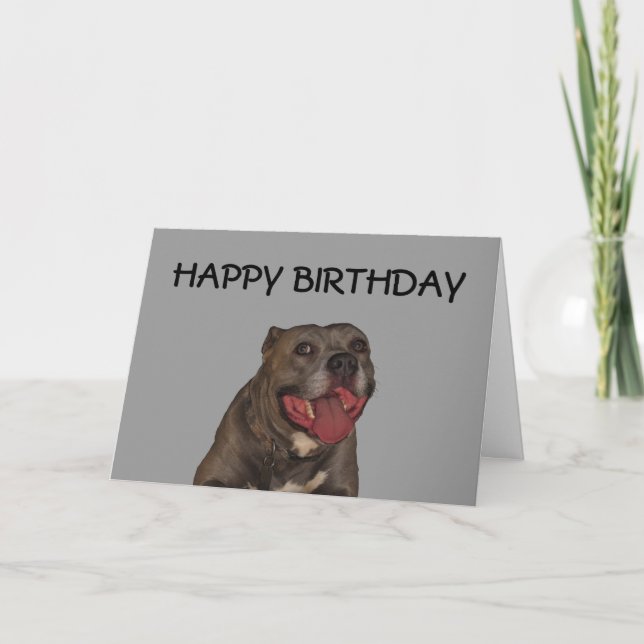 Alles Gute zum Geburtstag vom Hund Karte (Vorderseite)