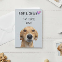 Alles Gute zum Geburtstag vom Hund zum liebsten Me