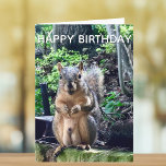 Alles Gute zum Geburtstag von Deez Nuts Funny Squi Karte<br><div class="desc">Herzlichen Glückwunsch zum Geburtstag von DEEZ NUTS! Ein unglaublich witzig Eichhörnchen spielt Wortwahl über seine Nüsse. Roher Spaß auf einer Erwachsenenkarte. Lass deine Freunde mit diesem Pop Kulturangebot lachen.</div>
