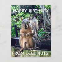 Alles Gute zum Geburtstag von Deez Nuts Lustige Ei