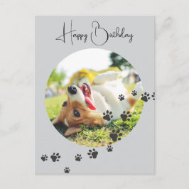 Alles Gute zum Geburtstag von Deinem Felligen Freu Postkarte