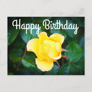 Alles Gute zum Geburtstag Walking on Sunshine Rose Postkarte