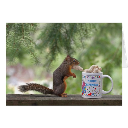 Alles- Gute zum Geburtstageichhörnchen Karte