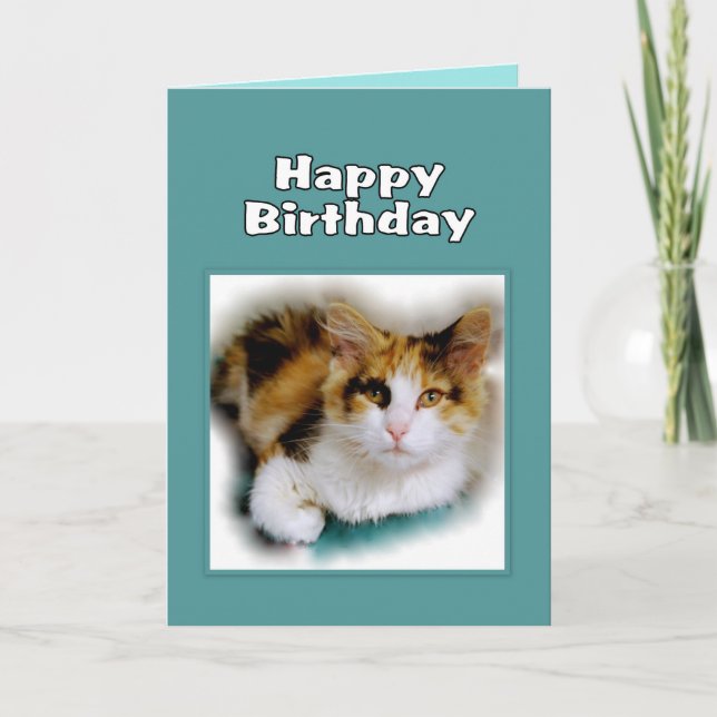 Alles- Gute zum Geburtstagkaliko-Katze Karte (Vorderseite)