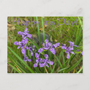 Alles Gute zum Iris Day! Postkarte