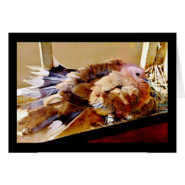 Alles Gute zum Muttertag!