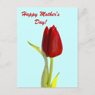 Alles Gute zum Muttertag Postkarte