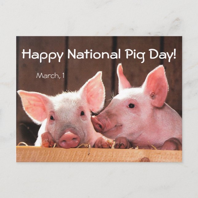 Alles Gute zum Nationalfeiertag! (März 1) Postkarte (Vorderseite)