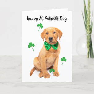 Alles Gute zum St Patrick's Day für jeden Niedlich Feiertagskarte