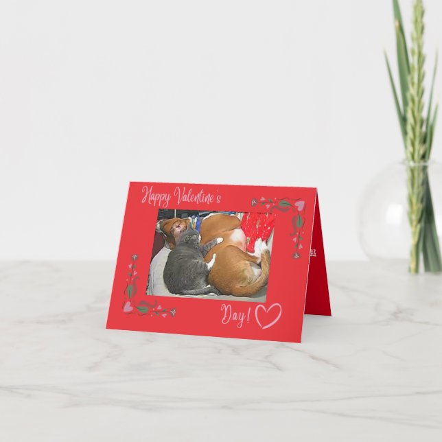 Alles Gute zum Valentinstag, Katze und Hund Dankeskarte (Vorderseite)