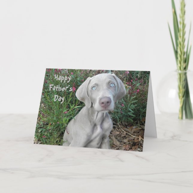 Alles Gute zum Vater ... Vom Weimaraner Hund Karte (Vorderseite)