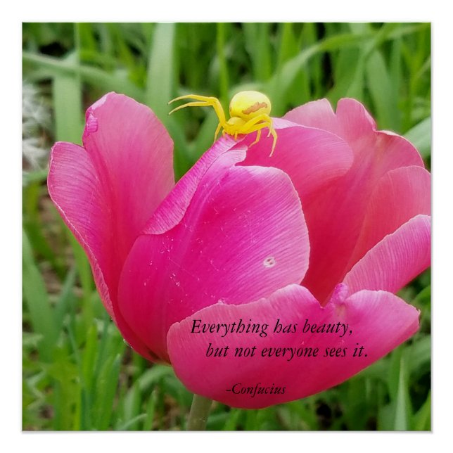 Alles hat Schönheit Konfuzius Spider auf Tulip Poster (Vorderseite)