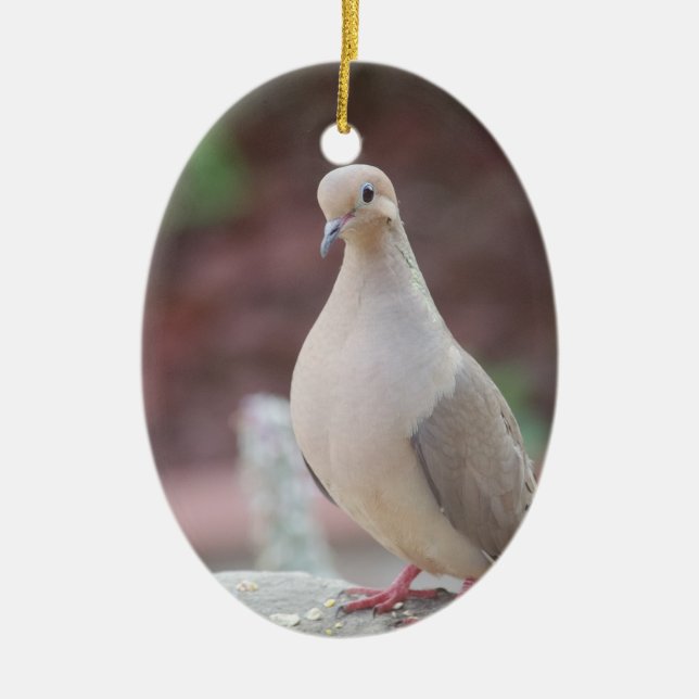 Alles ist Coo' Keramik Ornament (Vorne)