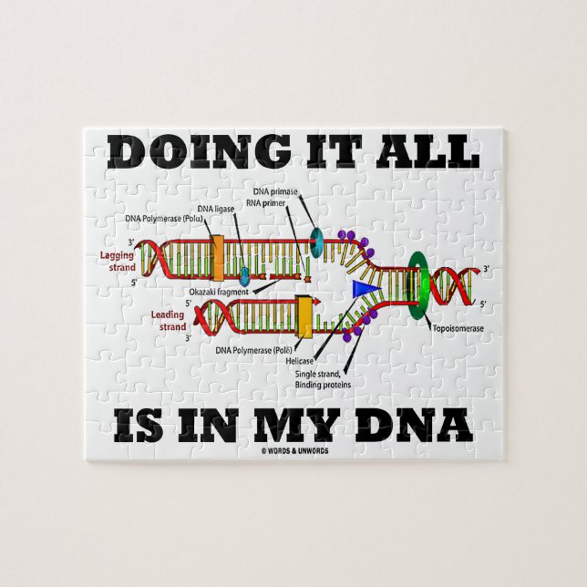 Alles ist in meiner DNA (DNA-Replikation) (Horizontal)