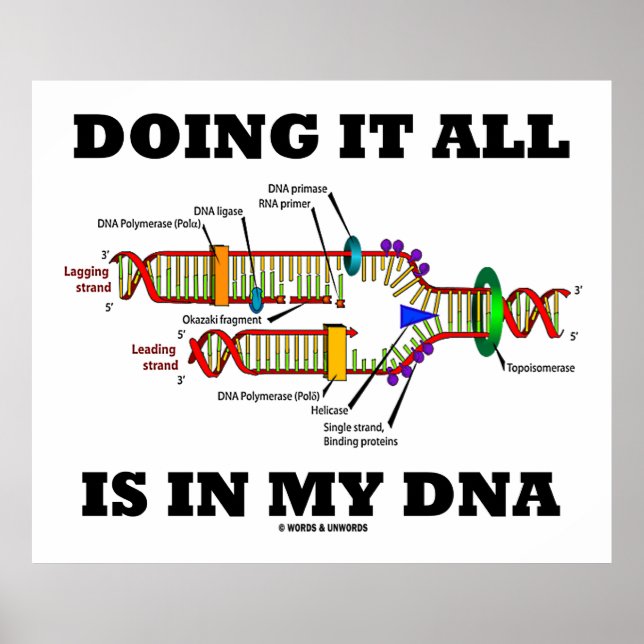 Alles ist in meiner DNA (DNA-Replikation) Poster (Vorne)