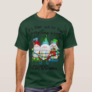Alles ist in Ordnung Sonderpädagogik-Lehrer T-Shirt