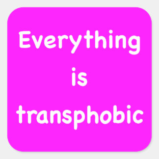 Alles ist transphobisch quadratischer aufkleber