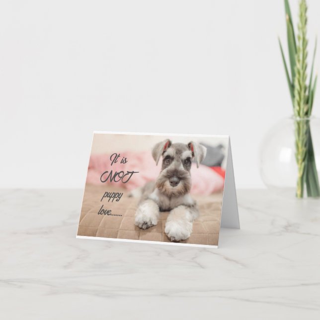 ALLES-NICHT PUPPING-LIEBE FÜR SIE!!!! KARTE (Vorderseite)