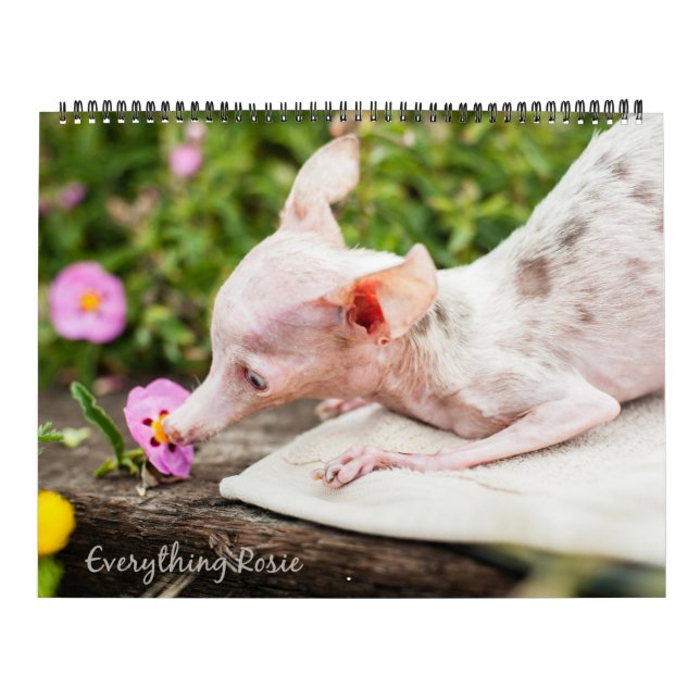 Alles Rosie Kalender (Titelbild)