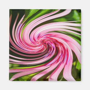 Alles verdreht magnet