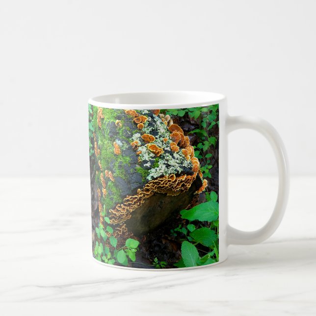 Alles verkleidet und nirgendwo hin zu Natur Kunst  Kaffeetasse (Rechts)