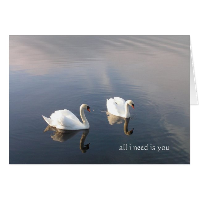 Alles, was du brauchst (Vorderseite (Horizontal))